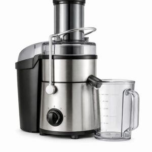 Commercial Juice Extractor